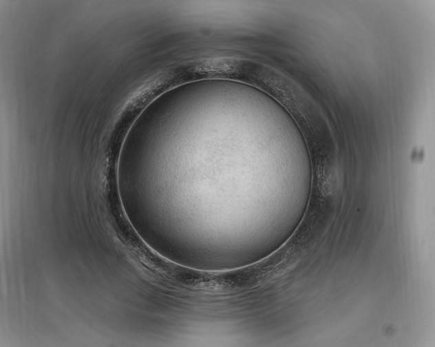 X0000097510735200802221506