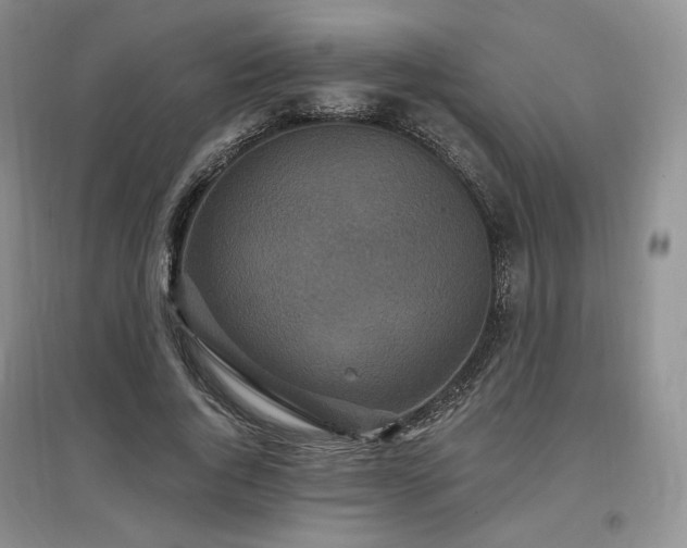 X0000097510736200802221506