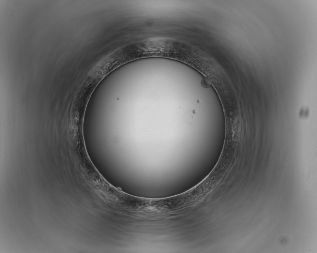X0000097510737200802221506
