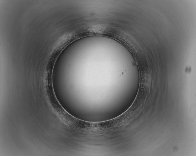 X0000097510738200802221506