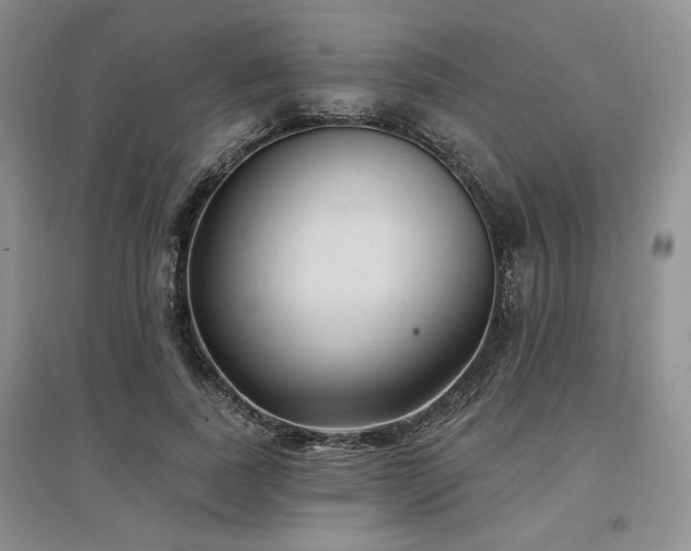 X0000097510739200802221506