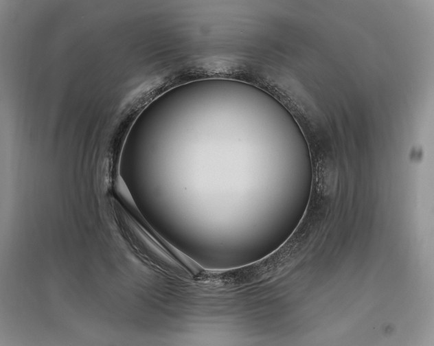 X0000097510740200802221506