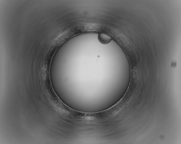 X0000097510741200802221506