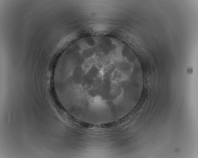 X0000097510742200802221506