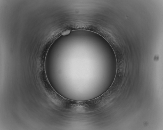 X0000097510743200802221506