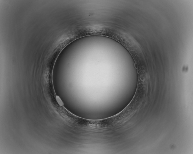 X0000097510744200802221506