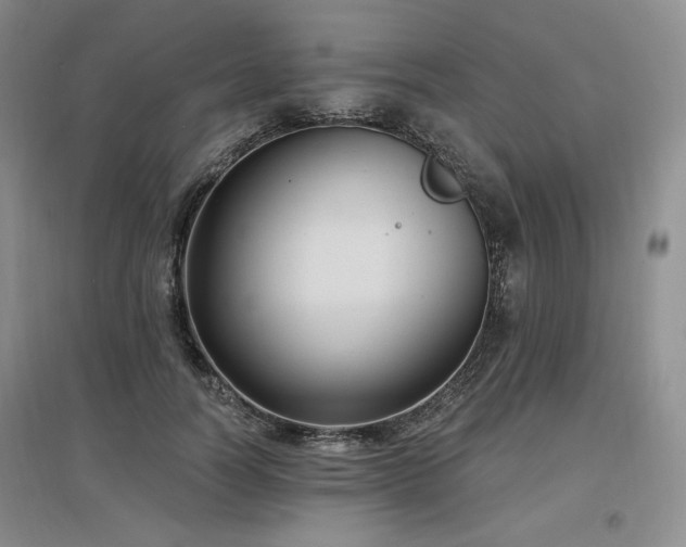 X0000097510746200802221506