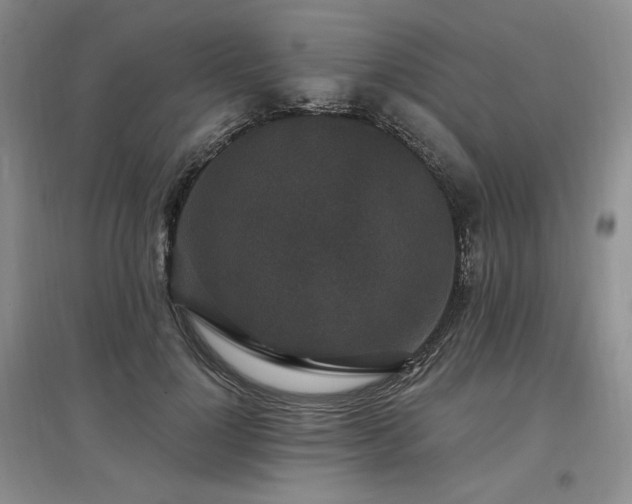 X0000097510748200802221506