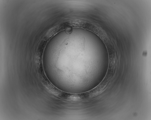 X0000097510749200802221506