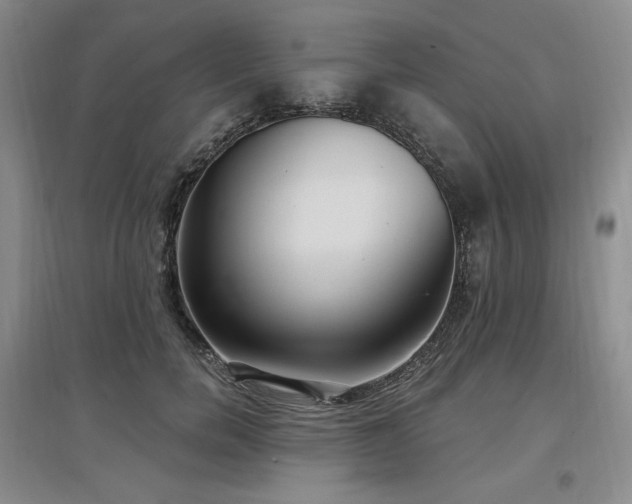 X0000097510750200802221506