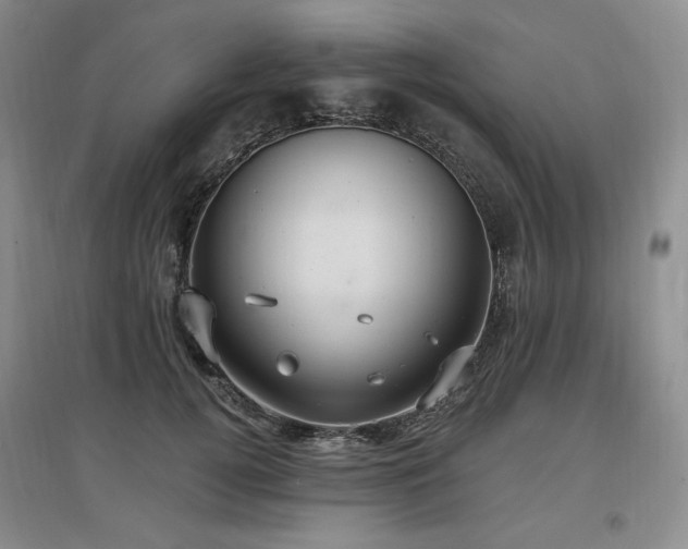 X0000097510752200802221506