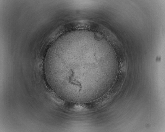 X0000097510753200802221506