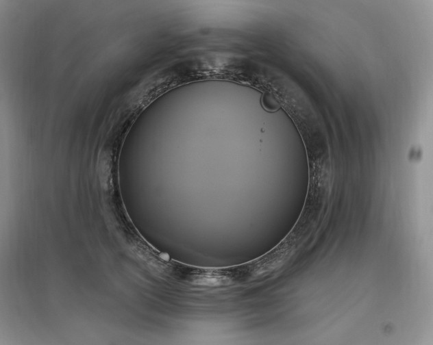 X0000097510754200802221506