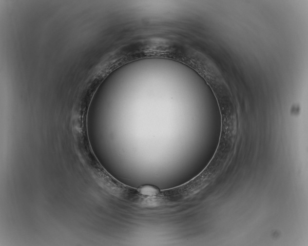 X0000097510755200802221506