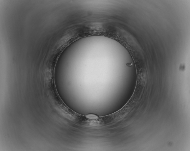 X0000097510756200802221506