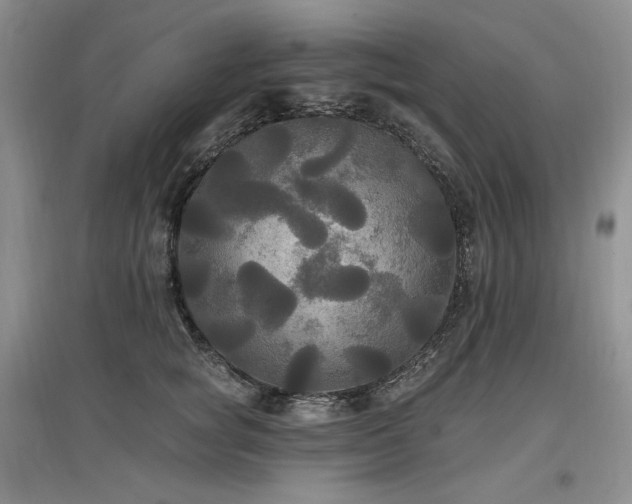 X0000097510757200802221506