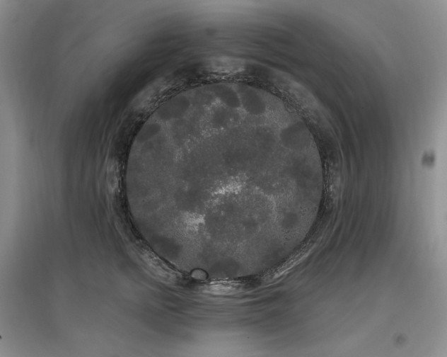 X0000097510758200802221506