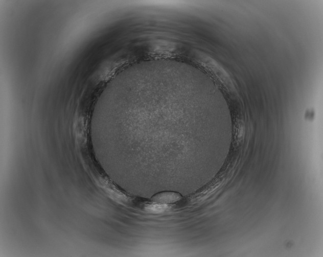 X0000097510759200802221506