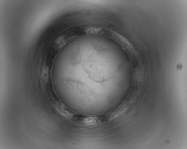 X0000097510761200802221506