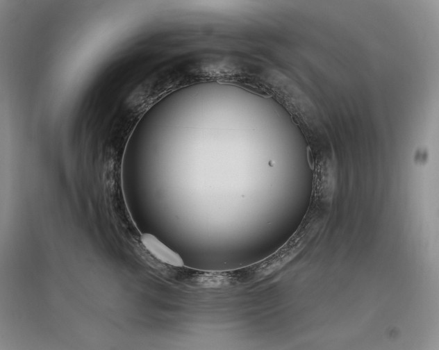 X0000097510762200802221506