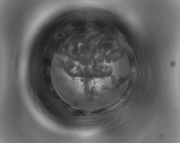 X0000097510765200802221506
