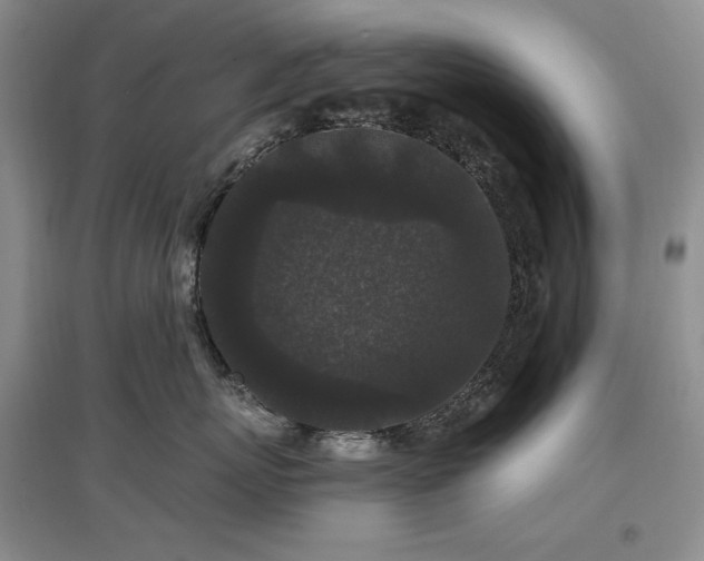 X0000097510767200802221506