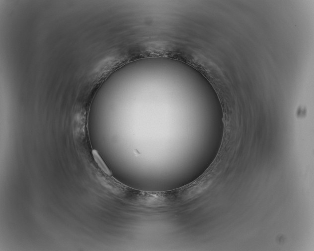 X0000097510768200802221506