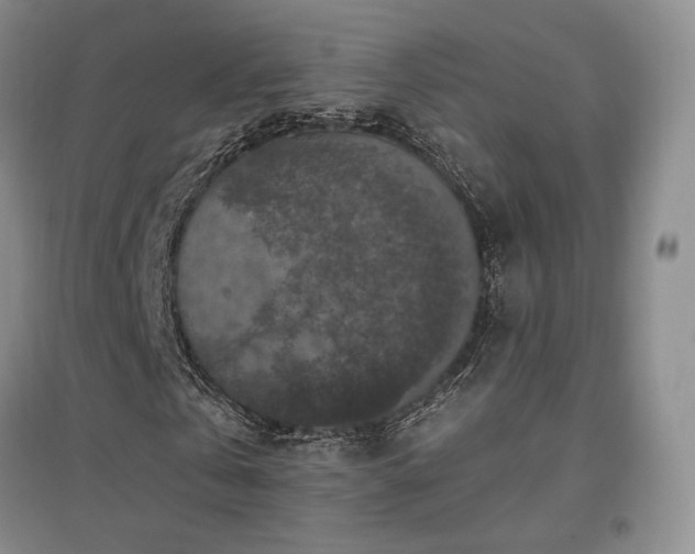 X0000097510769200802221506