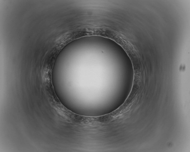 X0000097510770200802221506