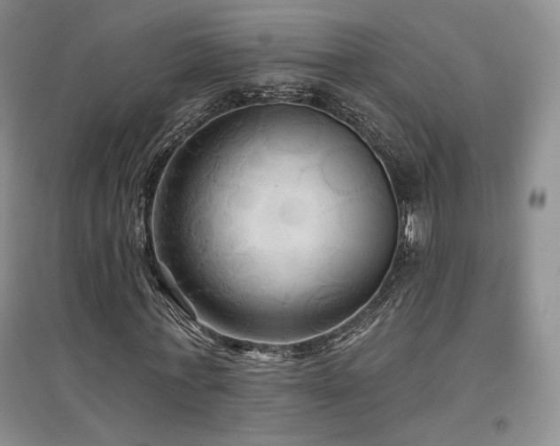 X0000097510771200802221506