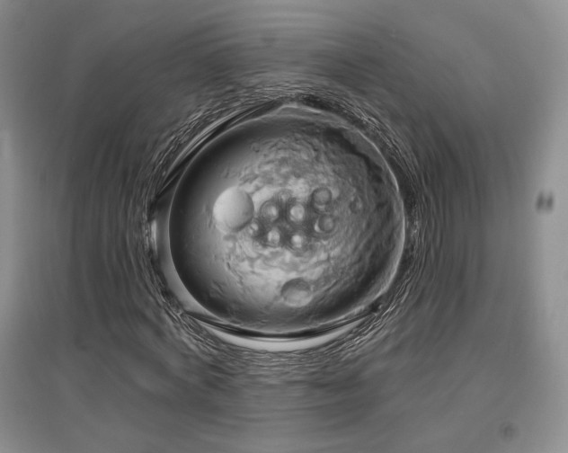 X0000097510772200802221506