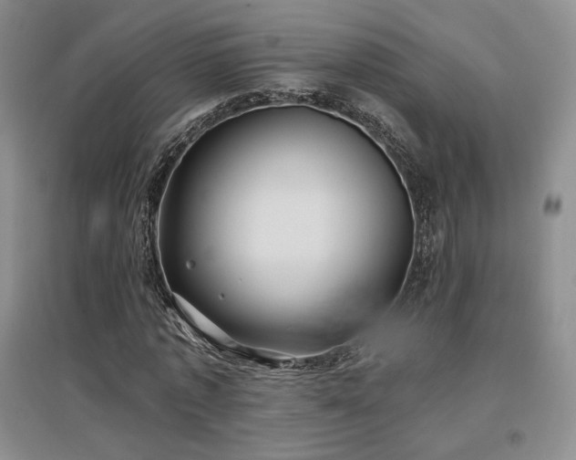 X0000097510773200802221506