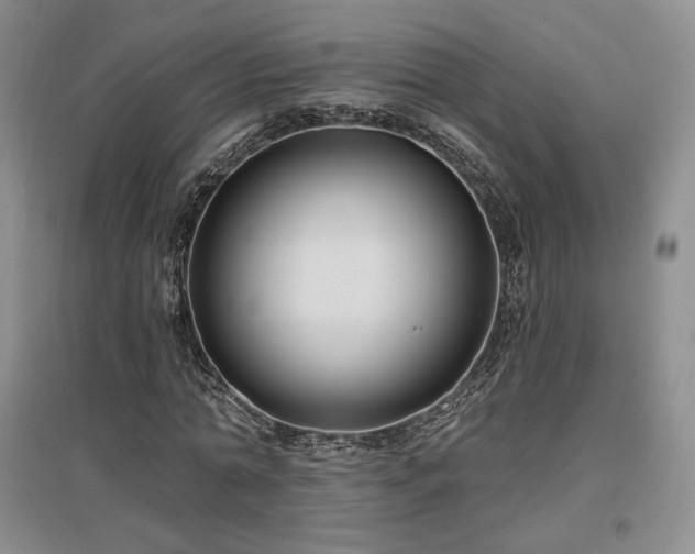 X0000097510774200802221506
