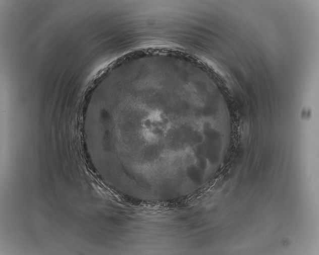 X0000097510775200802221506
