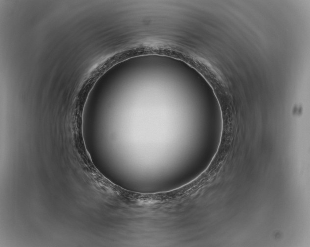 X0000097510776200802221506