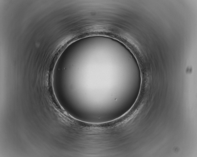 X0000097510777200802221506