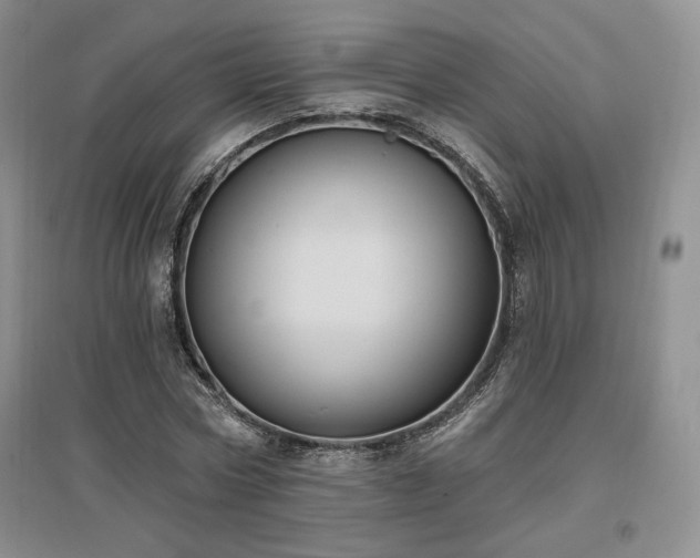 X0000097510778200802221506