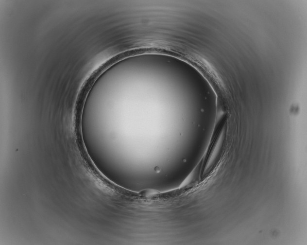 X0000097510780200802221506