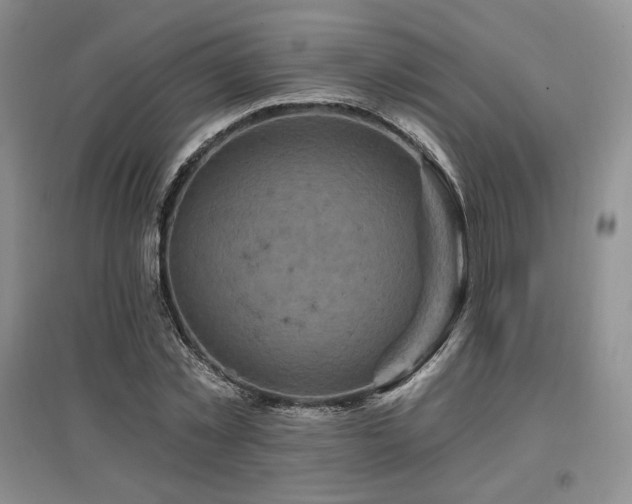 X0000097510781200802221506