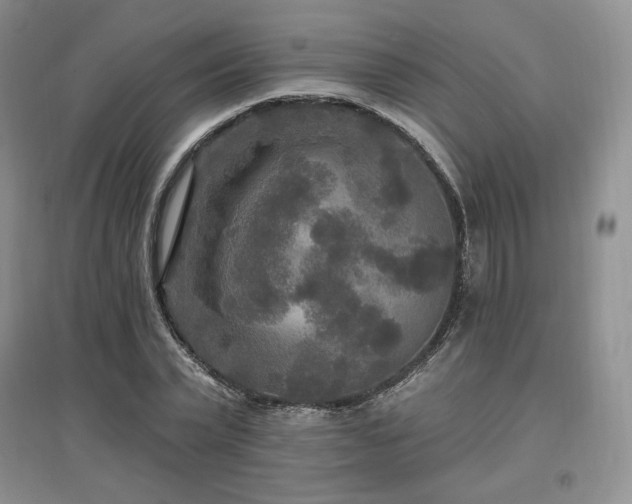 X0000097510783200802221506
