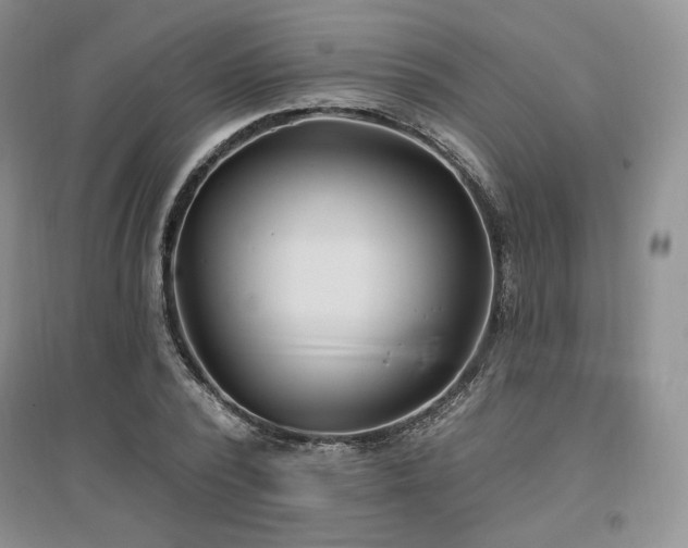 X0000097510784200802221506