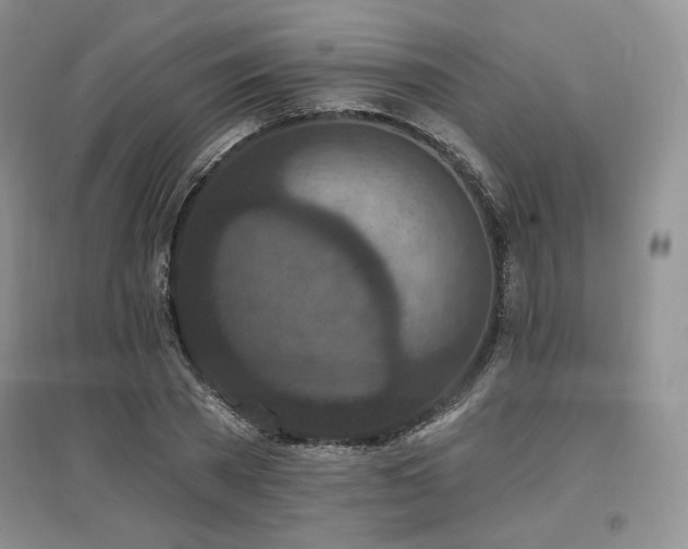 X0000097510785200802221506