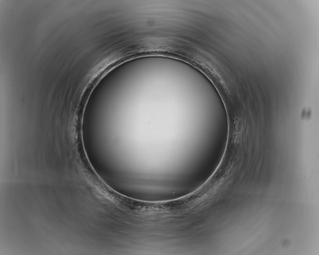 X0000097510786200802221506