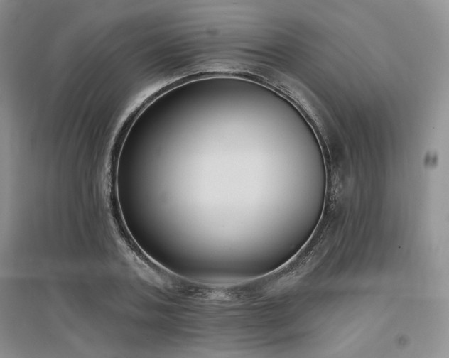 X0000097510787200802221506