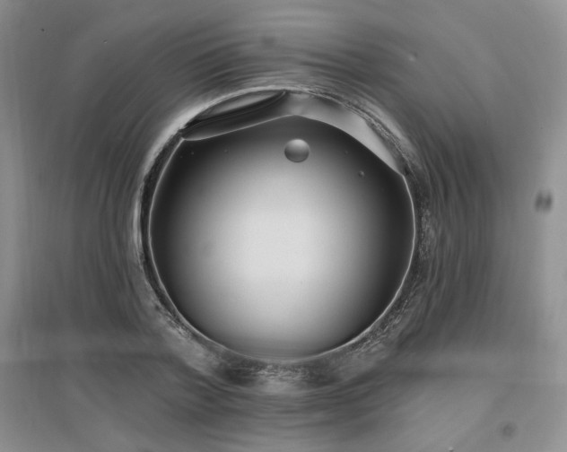 X0000097510788200802221506