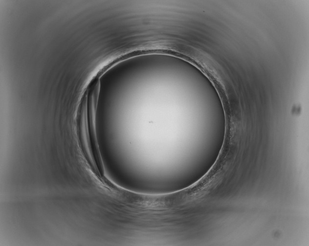 X0000097510789200802221506