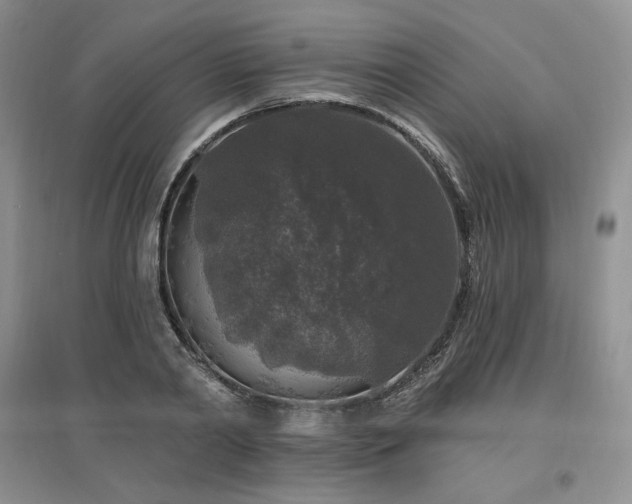 X0000097510790200802221506