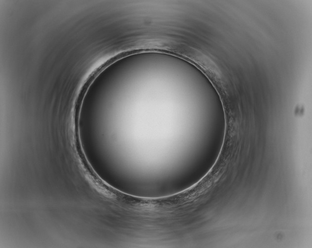 X0000097510792200802221505