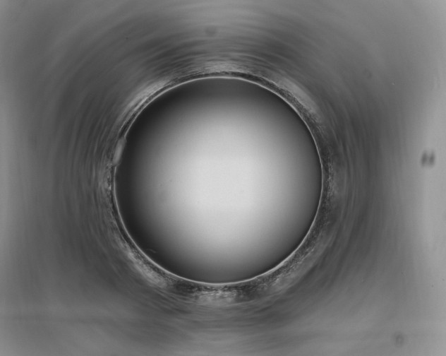 X0000097510793200802221505