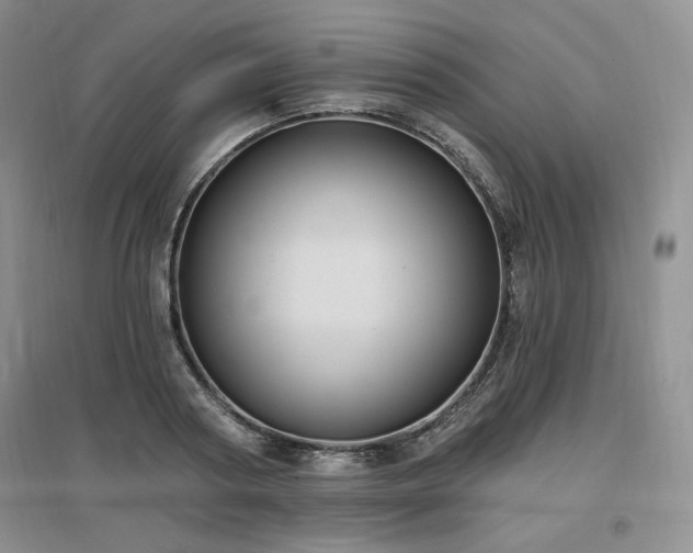 X0000097510794200802221505